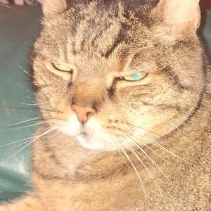 Meet your Posher, Lorine